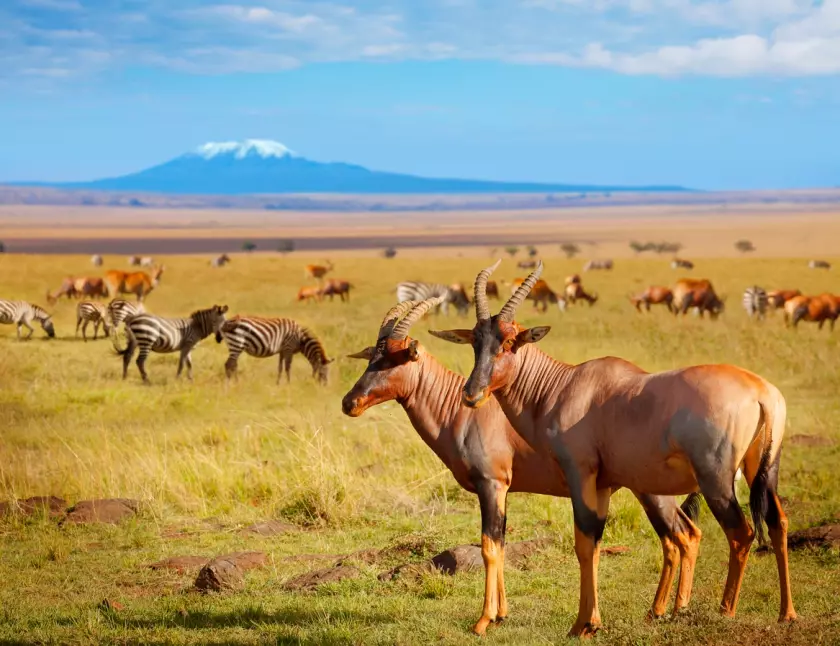 Amboseli-national-park