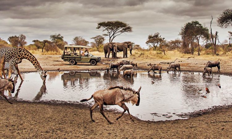 serengeti-National Park