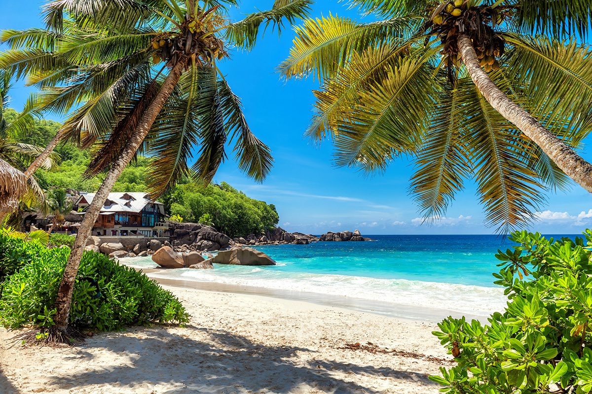 beach-palm-trees_zanzibar